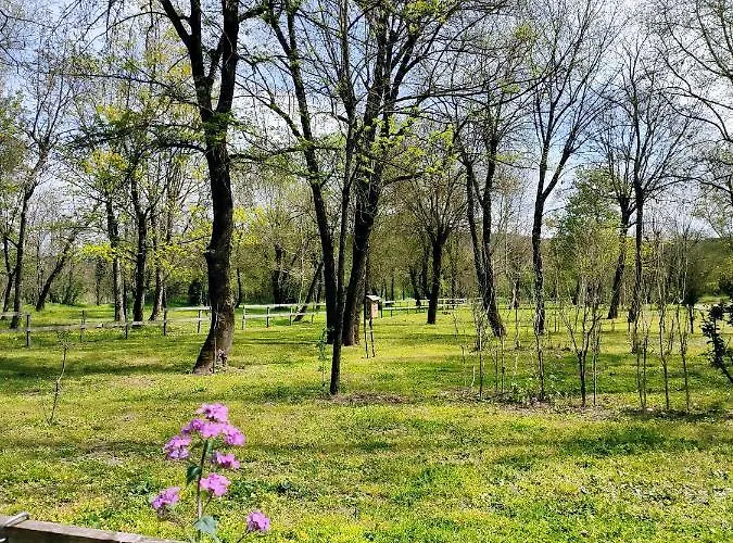 Camping Beaussement Baroudeur